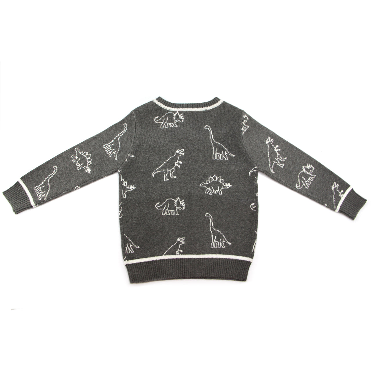 Leon Dinosaur Sweater Baby