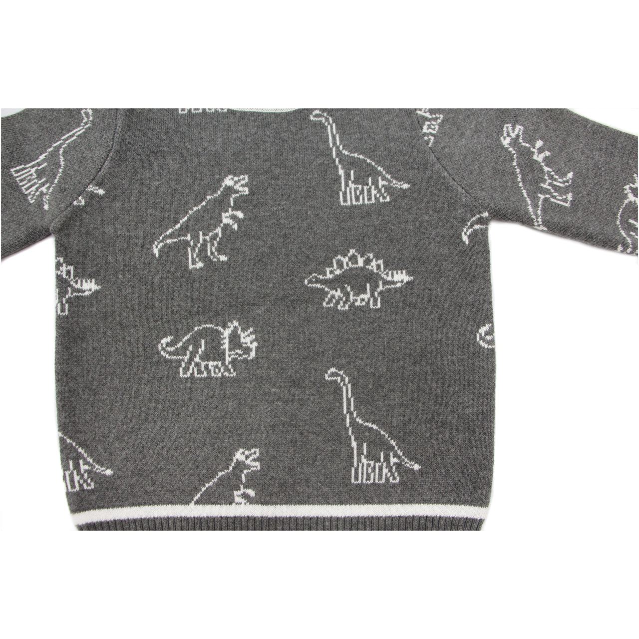 Leon Dinosaur Sweater Toddler